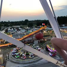 Our mission is to bring responsible pet owners the means to be responsible, by providing quality pet products at great prices. Luna Park Adriatico Bibione 2021 All You Need To Know Before You Go With Photos Tripadvisor
