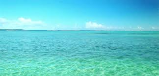 Animated beach beach gif for zoom background if you're looking for animated beach beach gif for zoom background images information linked to the animated beach beach gif for zoom background topic, you have visit the ideal site. Mira Summer Beach Gif On Gifer By Brakora