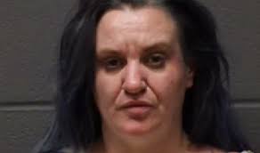 Meth, pot, guns found during search of Pinehurst home