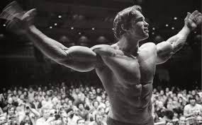 Olympia, conan, terminator, and governor of california. 12 Brilliant Life Lessons From Arnold Schwarzenegger Quotes