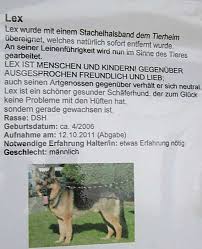 Der erlös geht ans tierheim. Tierschutzverein Herne Wanne E V Tierschutz In Herne In Das Ortliche