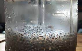 How To Soak Chia Seeds Overnight Soak Chia Seeds Chia Seeds Benefits Eating Chia Seeds