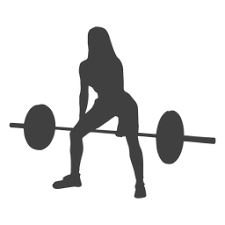 Download Woman Bent Over Row Silhouette Transparent Png Svg Vector File