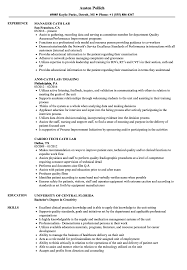 Cath Lab Resume Samples Velvet Jobs