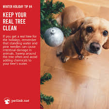Petlink Net Home Facebook