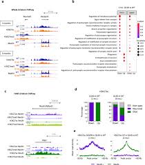 See more of alejandra azcárate on facebook. Age Related And Disease Locus Specific Mechanisms Contribute To Early Remodelling Of Chromatin Structure In Huntington S Disease Mice Nature Communications