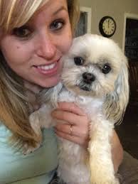 Eleanor MacDonald of Elmac Papillons and Chins passed away