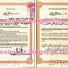 Unduh 52 koleksi background biru buku nikah gratis download. Https Encrypted Tbn0 Gstatic Com Images Q Tbn And9gctmljc4de13c5ovfxj 5wbdveehhptojfbj8e19t72npp7ymn8u Usqp Cau