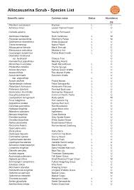 Image result for Phyllanthus caespitosus