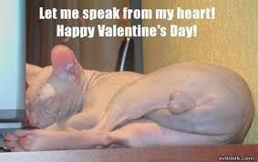 ♦i am happy to know two stunning people who have been as one for an astonishing measure of time. Valentines