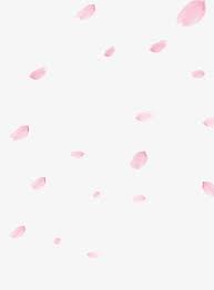 Cherry Blossom Petals Petal Pink Cherry Png Transparent Image And Clipart For Free Download Cherry Blossom Petals Cherry Blossom Watercolor Flowers