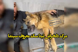 فیلم لحظه مرگ تیدا سگ معروف سینمای ایران +علت فوت