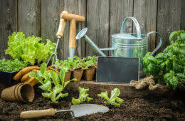 Check spelling or type a new query. Gartenhaus Abstand Zum Nachbarn Wo Darf Es Stehen
