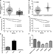 Role Of Long Noncoding Rna 799 In The Metastasis Of Cervical Cancer Through Upregulation Of Tbl1xr1 Expression Molecular Therapy Nucleic Acids