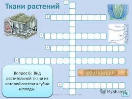 готовый кроссворд кроссворд по биологии 5 класс с вопросами и ответами Gdz Po Anglijskomu Yazyku 9 Klass Kuzovlev Lesson Algebra Lesson Blog