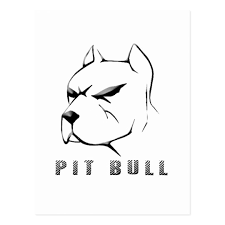 Pitbull Draw Postcard Zazzle Ca