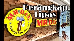 Saya juga menjadikan entry belajar bahasa sarawak dari blog kakak tiri cinderella sebagai panduan. Berkesan Perangkap Lipas Murah Selamat Dari Mr Diy Youtube