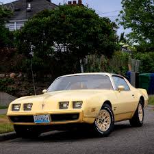 Image result for Yellow Accent 1981 Pontiac