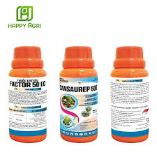 Factor 50EC