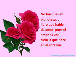 Imagenes De Rosas Con Frases Buscar Con Google Beautiful Flower Drawings Flower Drawing Beautiful Flowers