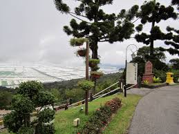 Indulge in the beauty of jerai garden that this resort has to offer. Mount Jerai Shefalitayal