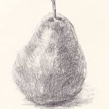 Found 24 free fruits drawing tutorials which can be drawn using pencil, market, photoshop, illustrator just follow step by step directions. Easy Drawing Lesson For Beginners