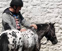 Today former Bond...