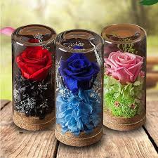 Preserved Rose Glass From Apollo Box Rose Dome Bottles Decoration Preserved Roses
