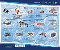 Des Produits La Peche Des Iles De Guadeloupe