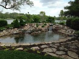 Bbb directory of bird supplies near medford, ny. Ontario Pond Water Feature Maintenance Repair Contractor Dundalk Toronto Vaughan Caledon Pond Maintenance Services
