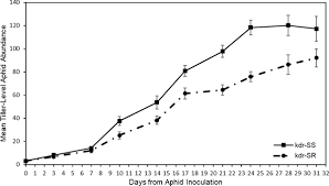 While you could spray a systemic insecticide all over your yard and kill aphids off, they would simply come back a spray safe for the environment, plants, and humans. Grain Aphids Sitobion Avenae With Knockdown Resistance Kdr To Insecticide Exhibit Fitness Trade Offs Including Increased Vulnerability To The Natural Enemy Aphidius Ervi