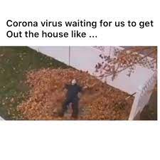 Bugging Lmao Video In 2020 Really Funny Memes Crazy Funny Memes Funny Relatable Memes