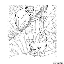 Jouer au jeu zoo coloriage : Coloriage Animaux Du Zoo Dessin Animaux A Imprimer