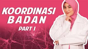 Memahami koordinasi kimia dalam badan. Ainan Tasneem Mengajar Koordinasi Badan Sains Tingkatan 4 Pt 1 Youtube