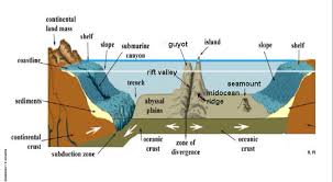 Pin By Room S3 On Seafloor Diagram Earth And Space Science Ocean Oceanography