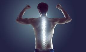 The sacrum is a flat, triangular bone found in the lower back and wedged between the 2 hip bones. Your Spine Has 26 Bones And Here Are 26 Facts To Remember About It To Keep Yourself Healthy And Pain Free South China Morning Post