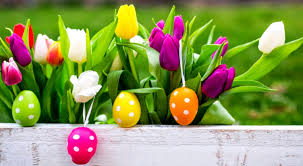 Use them in commercial designs under lifetime, perpetual & worldwide rights. Free Easter Wallpapers Screensavers Hd Easter Images Easter Eggs And Flowers 1504x828 Wallpaper Teahub Io