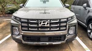 Image result for Rockwood Green 2025 Santa Cruz