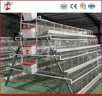 Proveedor de jaulas de transporte de pollos comerciales Bestchickencage en  China, jaula de gallinas ponedoras personalizada OEM en configuración de  gallinero para aves de corral