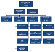 36 Meticulous Health Care Organizational Chart