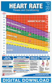 Digital Heart Rate Chart Productive Fitness