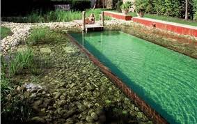 Natural Lap Pools Natural Swimming Pool Lap Pool Draussen Nur Kannchen Natural Pool Natural Swimming Pools Swimming Pond