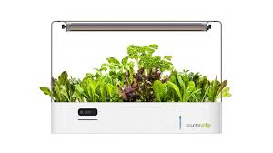 Countercrop The Modern Way To Grow Your Own Food Project Video Thumbnail Hydroponic Gardening Aquaponics Hydroponics