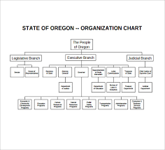 Sample Non Profit Organizational Chart 6 Documents In Word