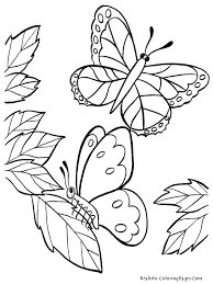 City chiefs logo coloring page free pages seattle seahawks. Pollinator Coloring Pages Seattle S Favorite Garden Store Since 1924 Swansons Nursery