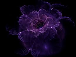 Find the best black flower wallpaper on getwallpapers. Abstract Fractal Black Background Fractal Flowers Wallpapers Hd Desktop And Mobile Backgrounds