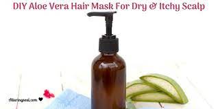 Diy Aloe Vera Hair Mask For Dry And Itchy Scalp Recipe Aloe Vera For Hair Aloe Vera Hair Mask Itchy Scalp
