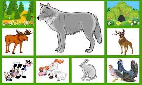 животные жарких стран занятие для детей 2 3 лет Pin Na Doske Zhivotnye