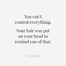 24 Hilarious Quotes Funny Quotes Funny Quotes Sarcasm True Quotes