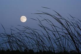 Here's everything you should know about the moon this month, including facts, folklore, and moon phase dates. Hxtg5d7rqh7dm